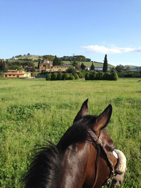 Agriturismo Villa Irelli Castellalto Extérieur photo